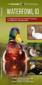 Title: Waterfowl ID Set, Author: Kevin J. McGowan