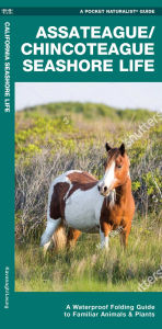 Title: Assateague/Chincoteague Seashore Life, 2nd Ed, Author: Waterford Press
