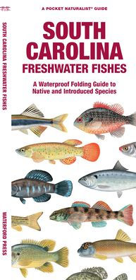 South Carolina Freshwater Fishes: A Waterproof Folding Guide to Native and  Introduced Species by Matthew Morris, Waterford Press, Raymond Leung, Other  Format