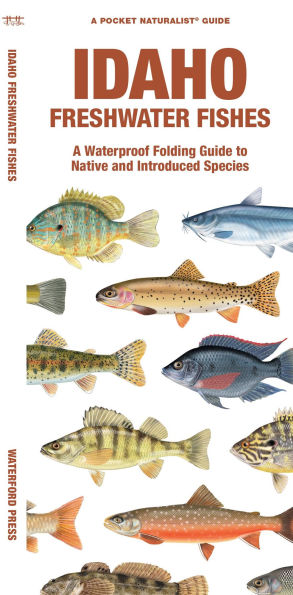 Idaho Freshwater Fishes: A Folding Guide to Native and Introduced Species