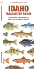 Idaho Freshwater Fishes: A Folding Guide to Native and Introduced Species