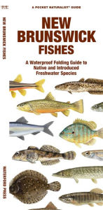 Title: New Brunswick Fishes, Author: Waterford Press Waterford Press