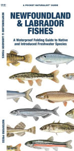 Title: Newfoundland & Labrador Fishes, Author: Waterford Press Waterford Press