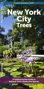 Title: New York City Trees, Author: Waterford Press Waterford Press