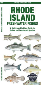 Title: Rhode Island Freshwater Fishes, Author: Matthew Morris