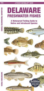 Title: Delaware Freshwater Fishes, Author: Matthew Morris
