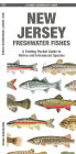 New Jersey Freshwater Fishes