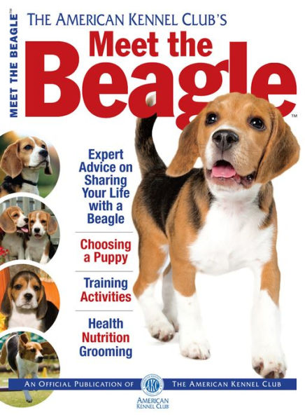 Meet the Beagle