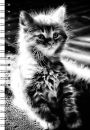Wire-O Kitten (Med)