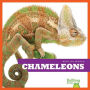Chameleons