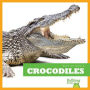 Crocodiles
