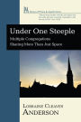 Under One Steeple: Multiple Congregations Sharing More Than Just Space