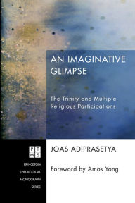 An Imaginative Glimpse: The Trinity and Multiple Religious Participations