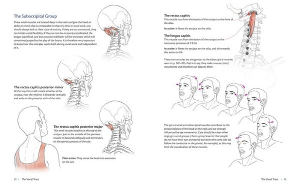 Anatomy of Voice: How to Enhance and Project Your Best Voice