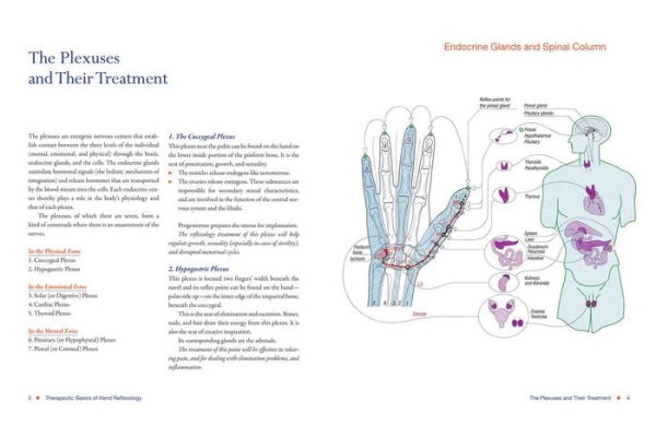 Total Reflexology of the Hand: An Advanced Guide to the Integration of Craniosacral Therapy and Reflexology