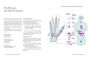 Alternative view 4 of Total Reflexology of the Hand: An Advanced Guide to the Integration of Craniosacral Therapy and Reflexology