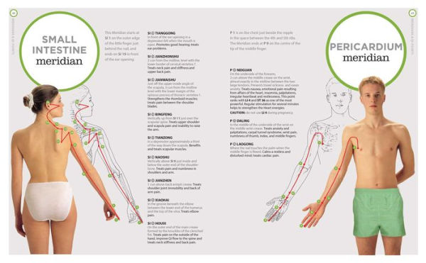 The Tui Na Manual: Chinese Massage to Awaken Body and Mind