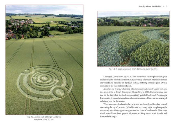 The Energies of Crop Circles: The Science and Power of a Mysterious Intelligence