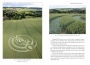 Alternative view 2 of The Energies of Crop Circles: The Science and Power of a Mysterious Intelligence
