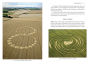 Alternative view 3 of The Energies of Crop Circles: The Science and Power of a Mysterious Intelligence