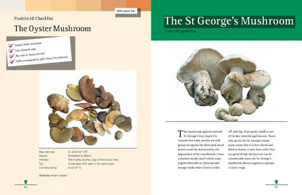 Mushrooming with Confidence: A Guide to Collecting Edible and Tasty Mushrooms