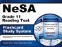 NeSA Grade 11 Reading Test Flashcard Study System