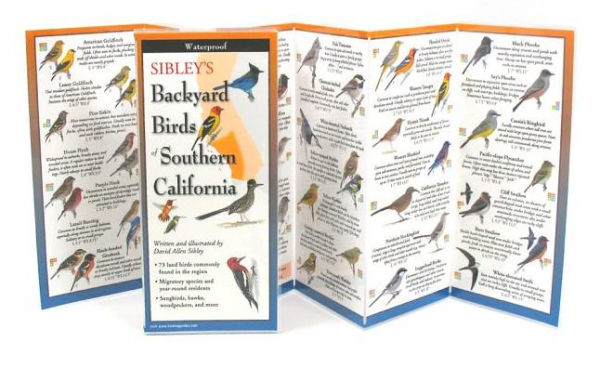 Sibley's Backyard Birds of Southern California