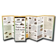 Title: Common Bees of Eastern North America, Author: Joseph S Wilson