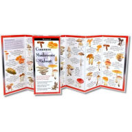 Title: Common Mushrooms of the Midwest, Author: Karl McKnight