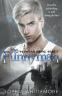 The Funnyman