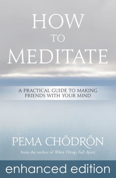 How to Meditate: A Practical Guide to Making Friends with Your Mind