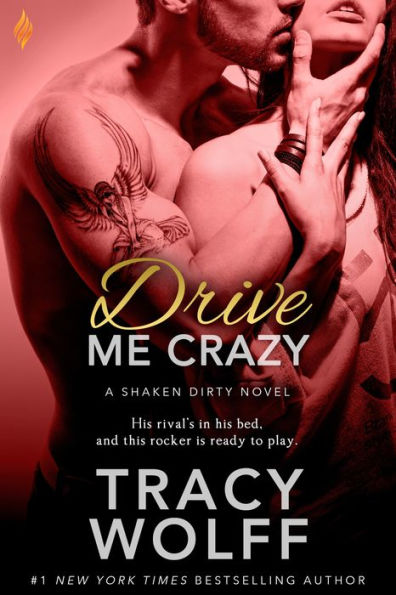 Drive Me Crazy (Shaken Dirty Series #2)