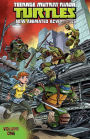 Teenage Mutant Ninja Turtles: New Animated Adventures, Volume 1