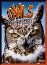 Title: Owls, Author: Janet Davis-Castro
