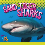 Title: Sand Tiger Sharks, Author: Marysa Storm
