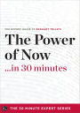 The Power of Now . . . in 30 Minutes: The Expert Guide to Eckhart Tolle's Critically Acclaimed Book