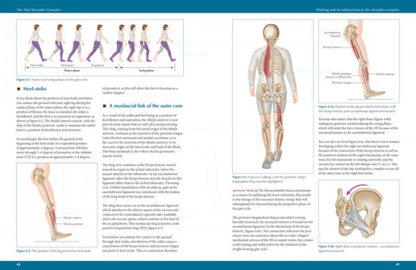 The Vital Shoulder Complex: An Illustrated Guide to Assessment, Treatment, and Rehabilitation