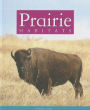 Prairie Habitats