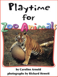 Playtime for Zoo Animals