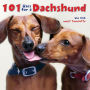 101 Uses for a Dachshund