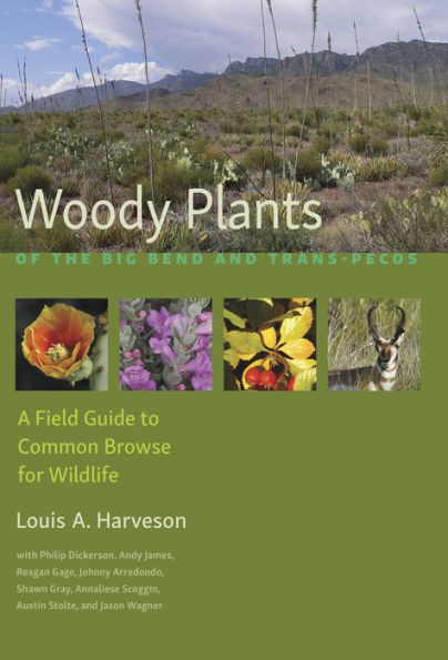 Woody Plants of the Big Bend and Trans-Pecos: A Field Guide to Common Browse for Wildlife