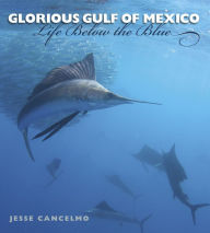 Title: Glorious Gulf of Mexico: Life Below the Blue, Author: Jesse Cancelmo