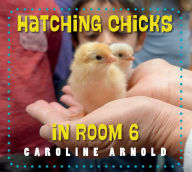 Title: Hatching Chicks in Room 6, Author: Caroline Arnold