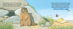 Alternative view 2 of Dormilones de verano (Spanish Edition): Animales aletargados