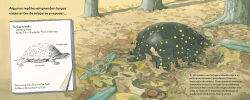 Alternative view 3 of Dormilones de verano (Spanish Edition): Animales aletargados