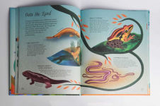 Alternative view 5 of Darwin's Tree of Life
