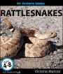 My Favorite Animal: Rattlesnakes