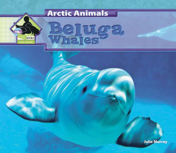 Beluga Whales