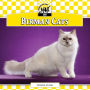 Birman Cats eBook