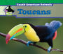 Toucans